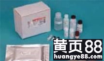 探索生命科学边界 武汉市古泰生物技术有限责任公司主营试剂、抗体与耗材业务解析