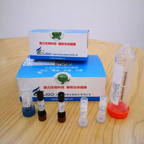 松江战疫这十天 非临床诊断用生物试剂背后的科技力量